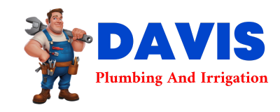 Trusted plumber in CENTRAL LAKE